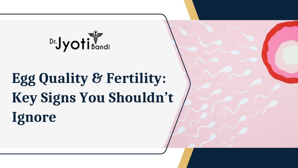 IVF Services HSR Layout