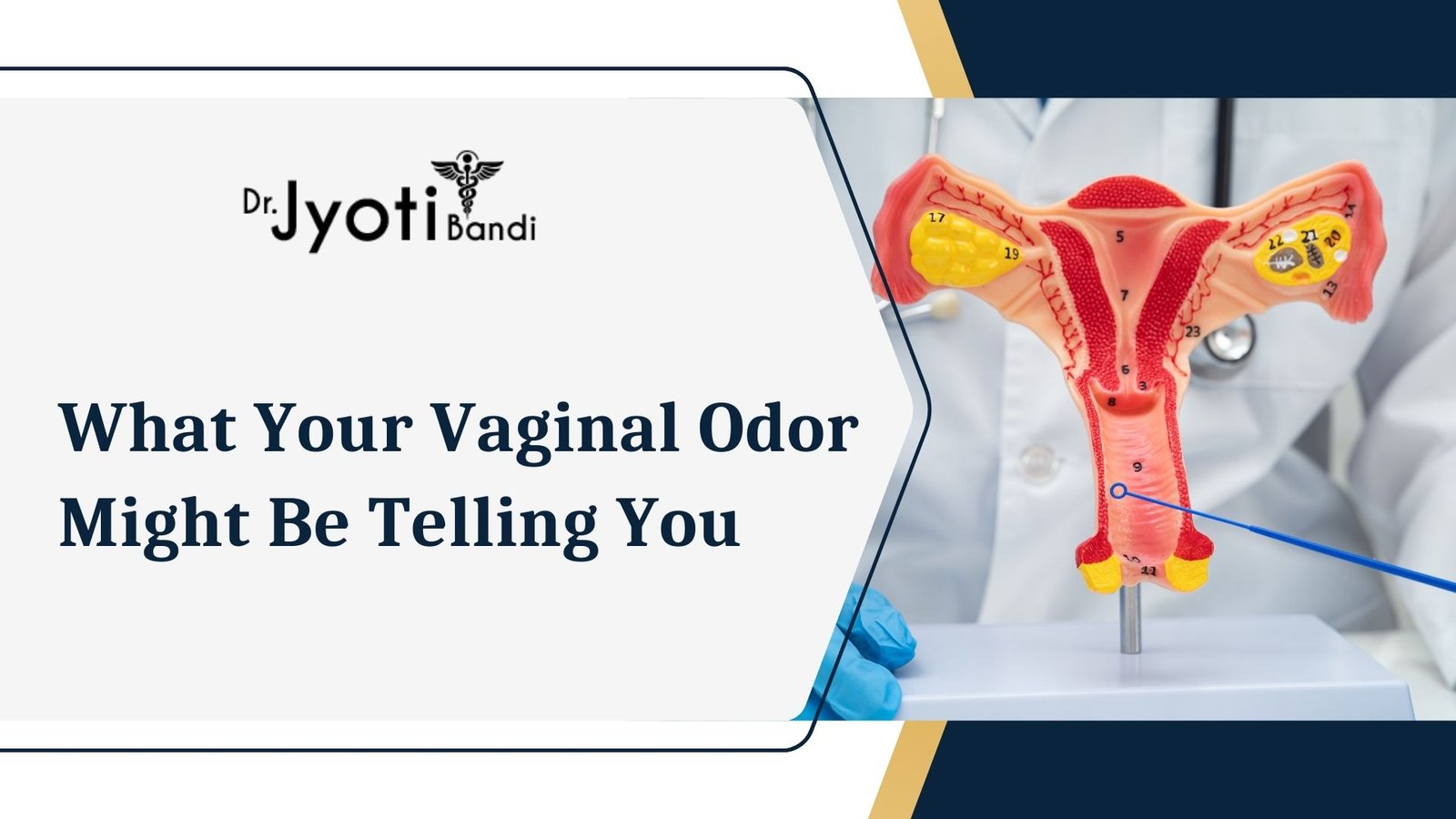 What Your Vaginal Odor Might Be Telling You | Dr. Jyoti Bandi