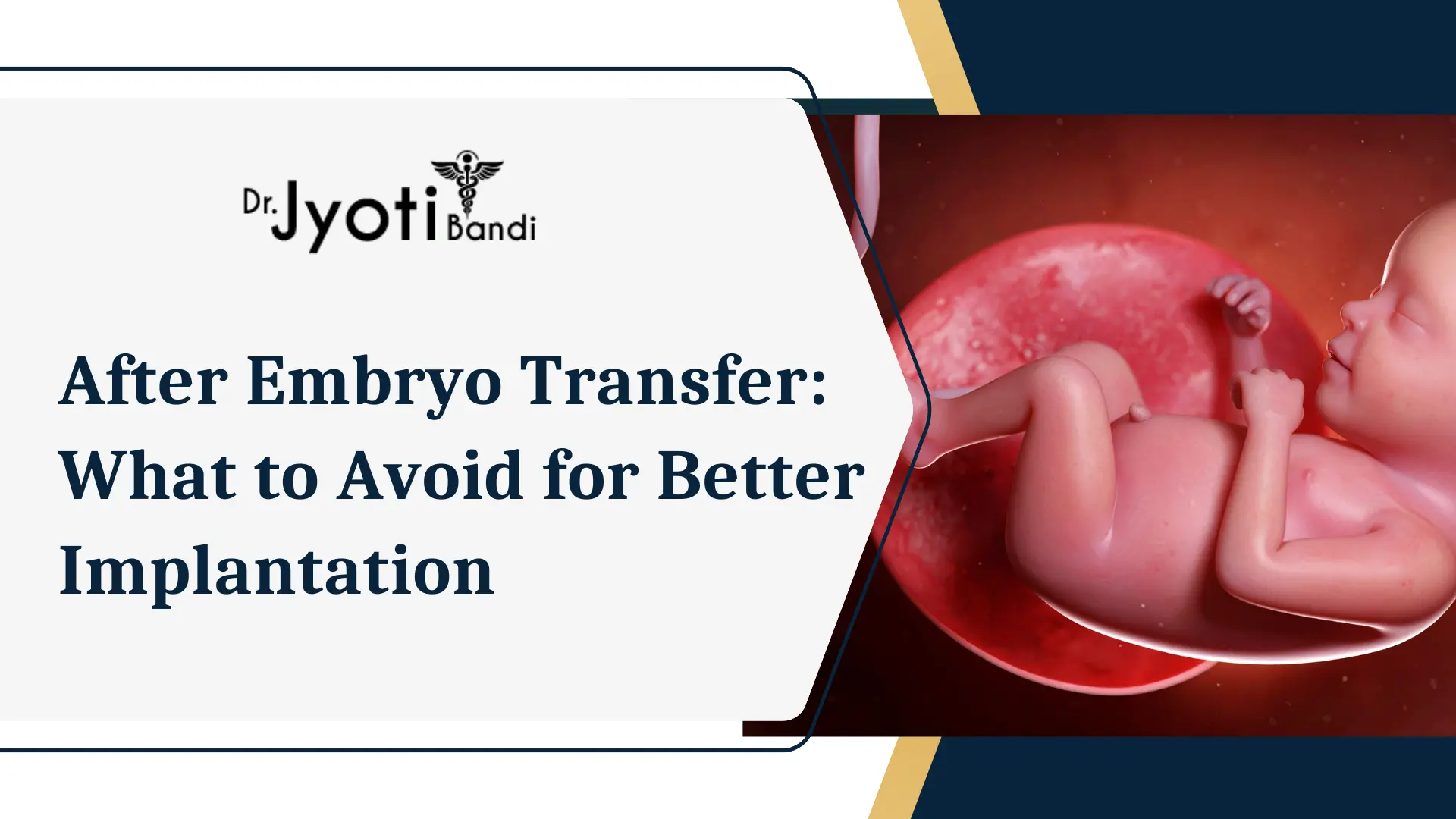 After Embryo Transfer: What to Avoid for Better Implantation | Best Fertility Hospital in Bangalore