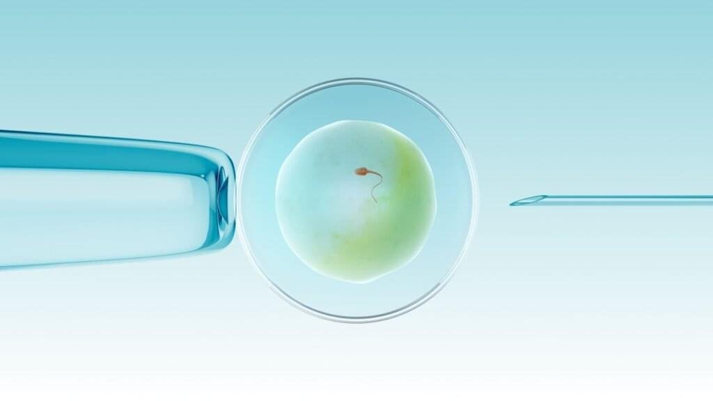 IVF Treatment In HSR Layout | Dr. Jyoti Bandi