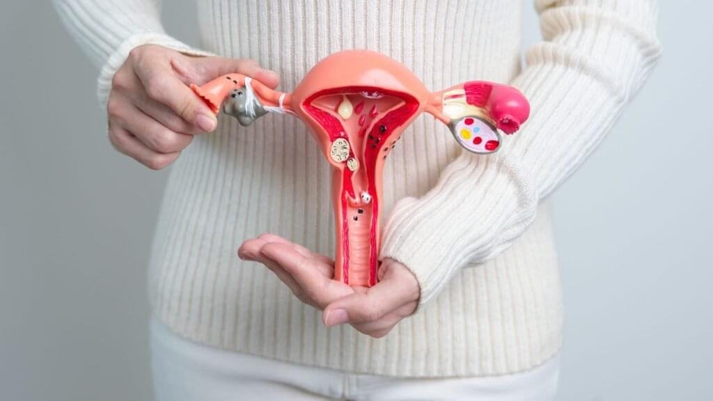 Best Fertility Specialist in Bangalore | Dr. Jyoti Bandi